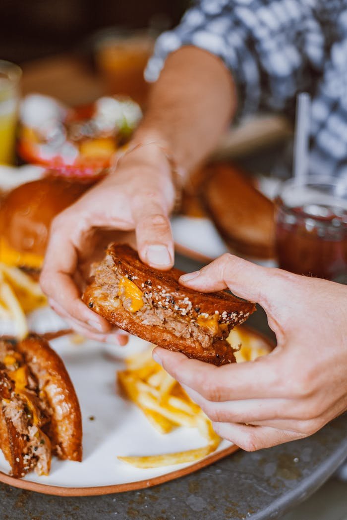why-choose-us Tasty grilled cheese sandwich being held with french fries on the side.